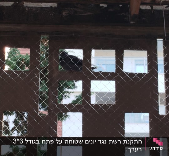 רשת למניעת כניסת יונים במבנה
